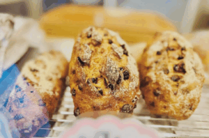 南海・高石駅前でパンフェス開催、南大阪のパン＆コーヒー２０店舗が集結