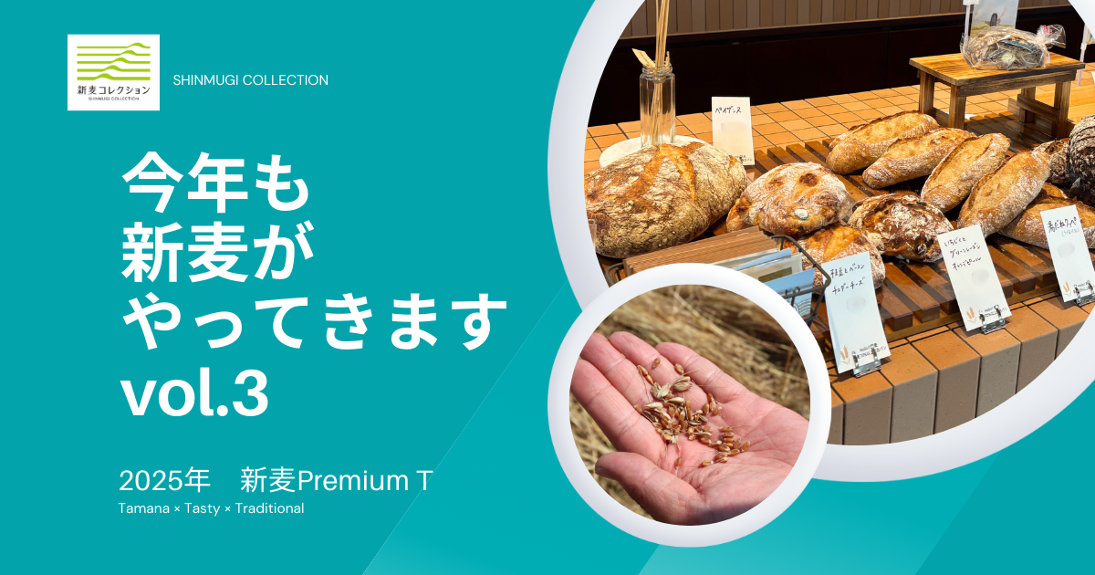 熊本・玉名発「新麦PremiumT」解禁！香り高い至福パン時間をあなたに