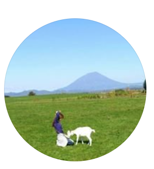 パンライターsimaさんのプロフィール画像。緑の草原に座っている女性と白いヤギがいます。背景には青い空と山があります。