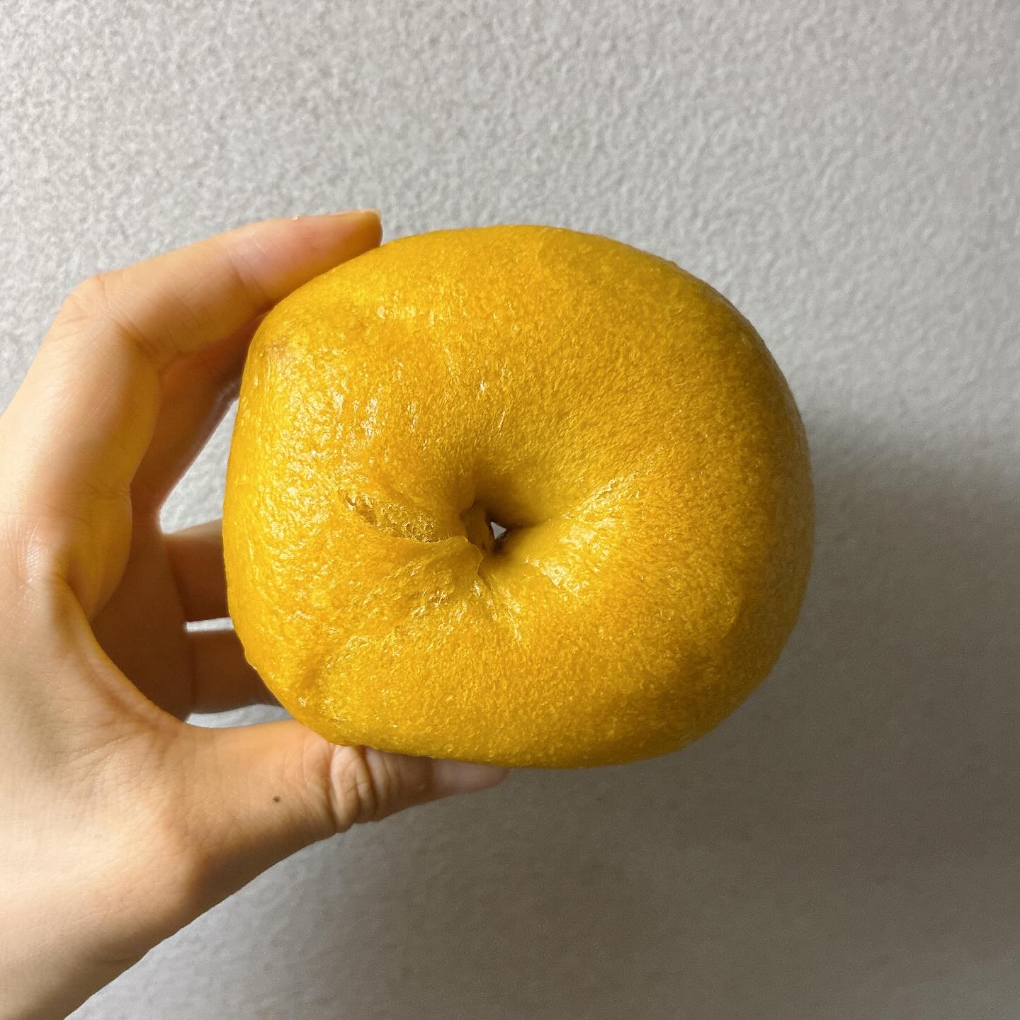 べーぐる屋 自家製酵母ぱんroll　かぼちゃプリン