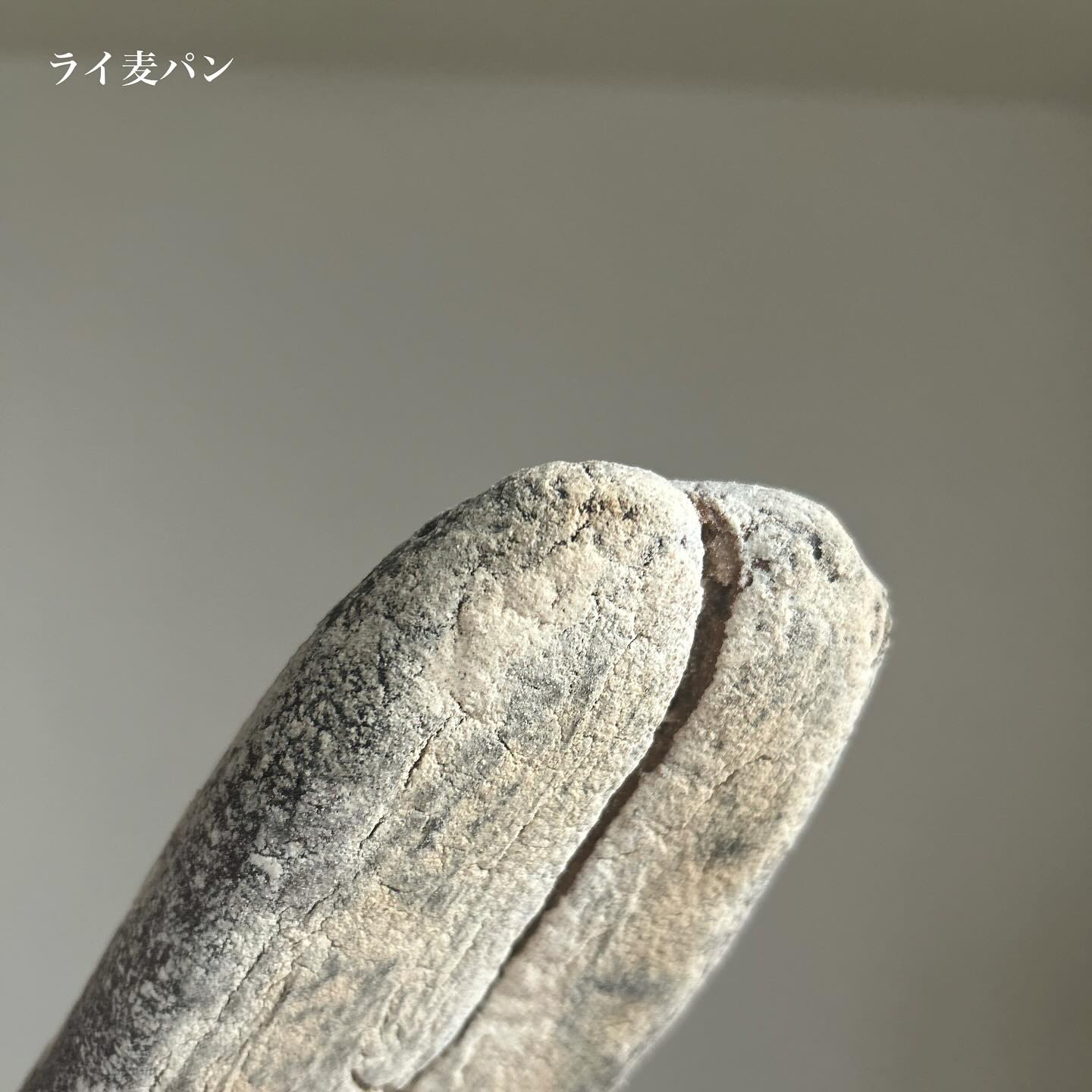 日本の兵庫県神戸市にあるベーカリー、麦秋至さんのパン。
ライ麦パンの写真。