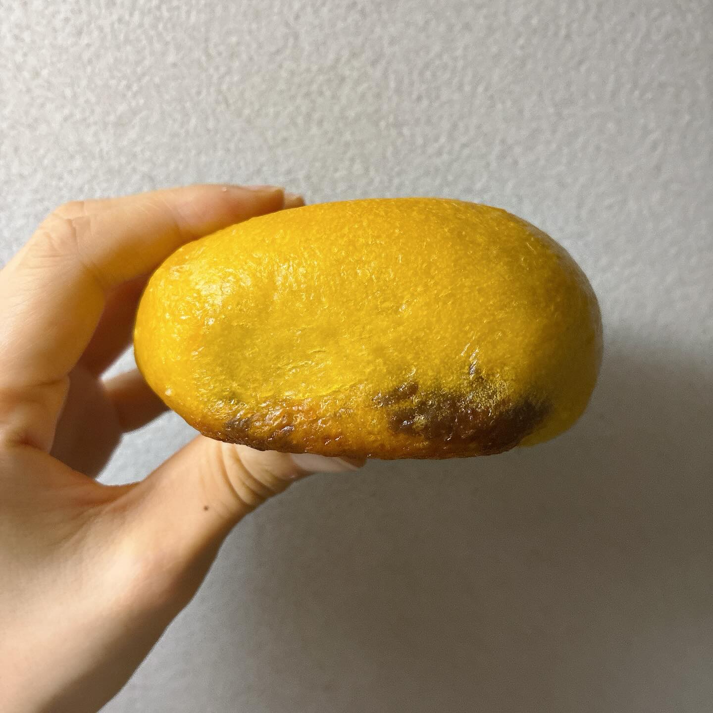べーぐる屋 自家製酵母ぱんroll　かぼちゃプリン
