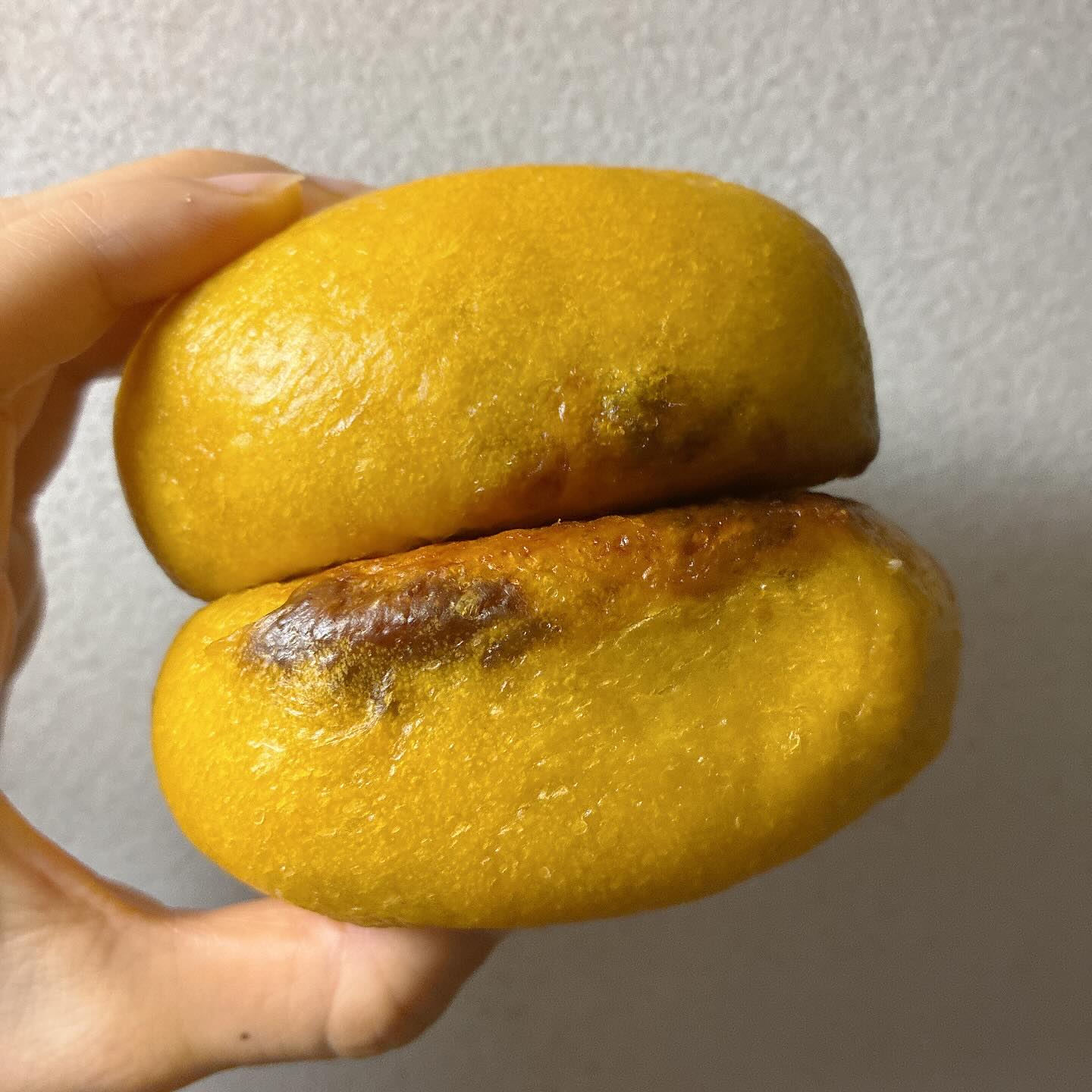 べーぐる屋 自家製酵母ぱんroll　かぼちゃプリン