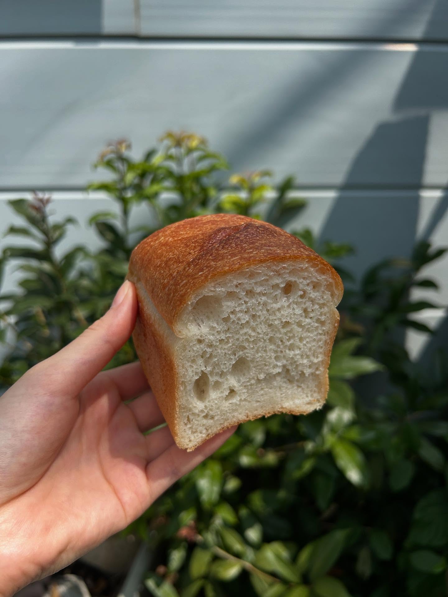 日本の東京都六本木にある、ラトリエ・デュ・パン。お米のパンドミ。