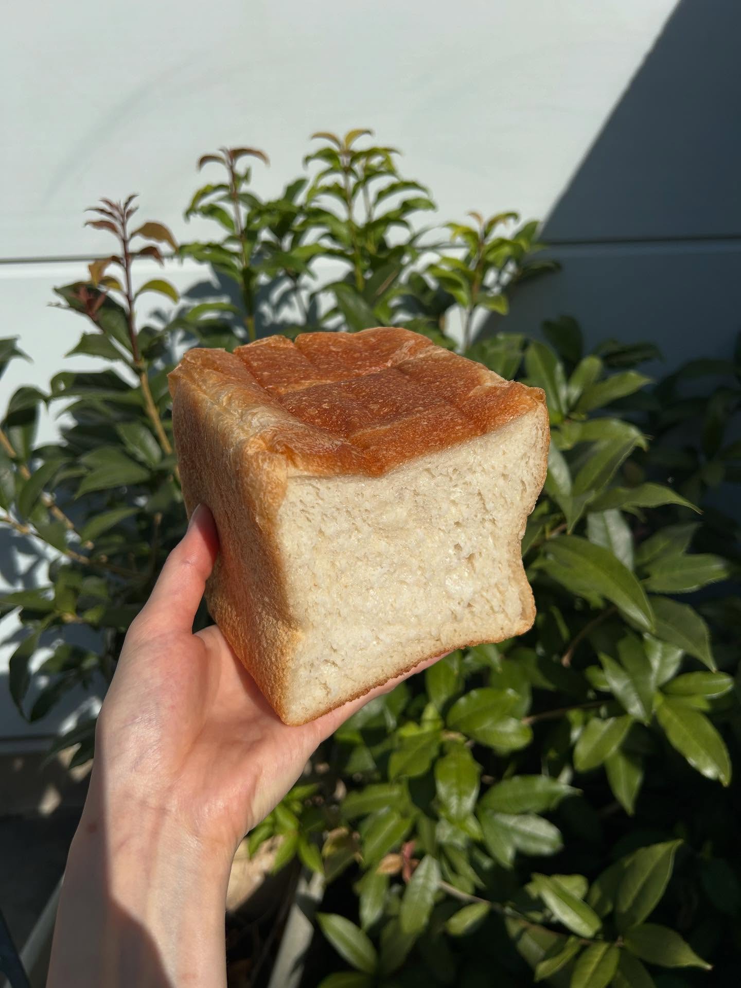 日本の東京都六本木にある、ラトリエ・デュ・パン。もちもち白玉ブレット。