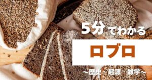5分でわかるロブロ　～歴史・起源・雑学～